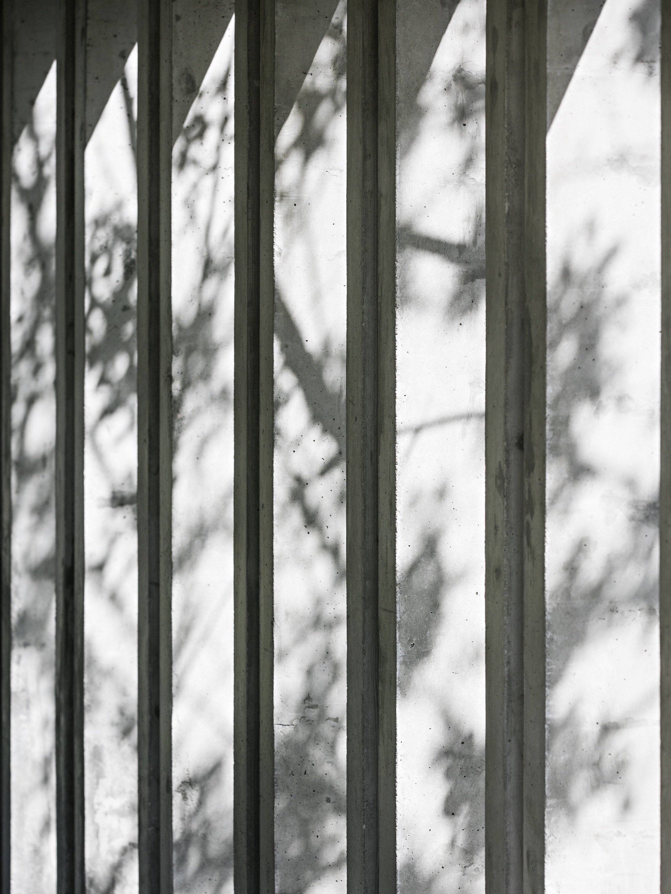 Jardim n.º 1 — Delgada