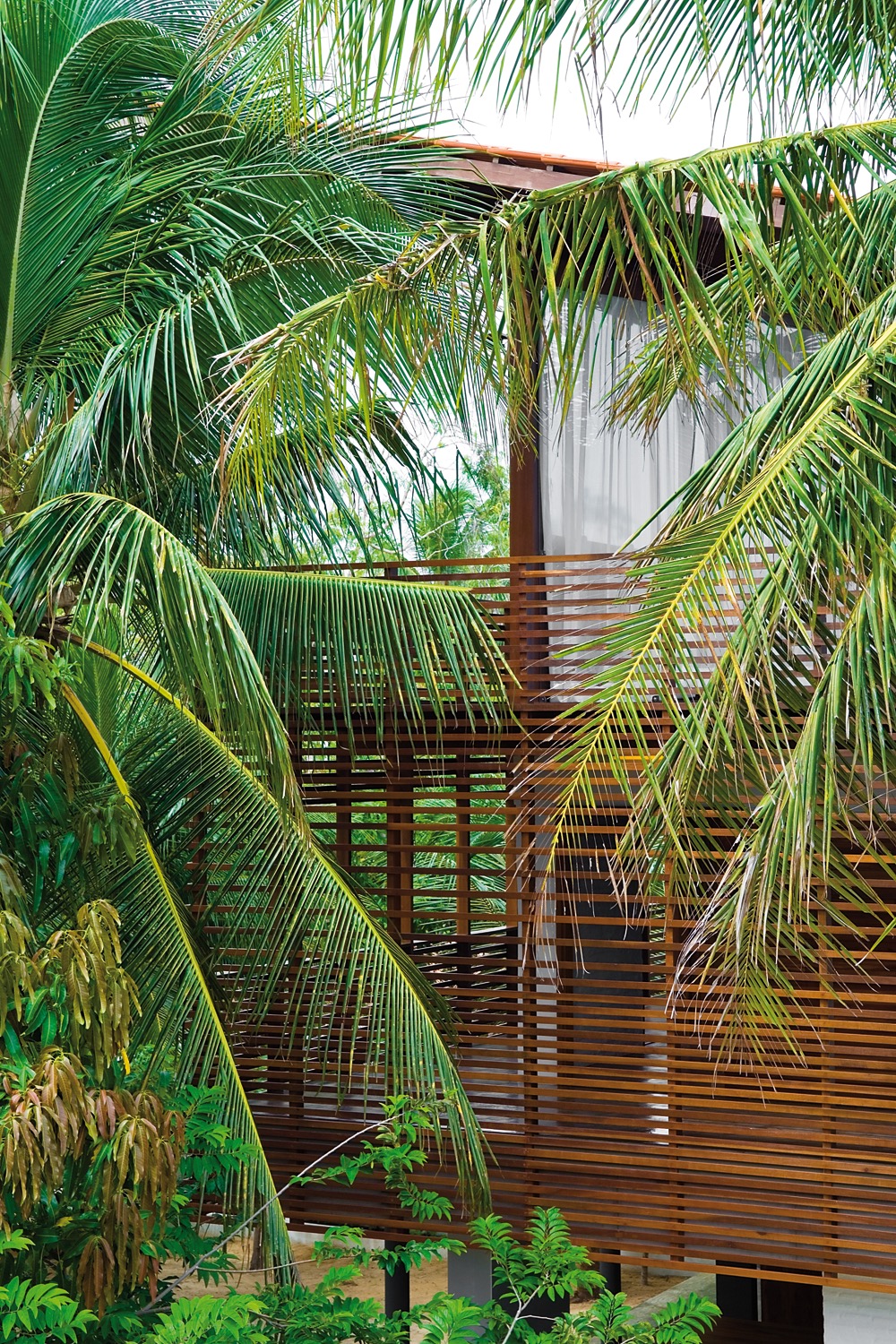 House No. 1 —  Mundaú