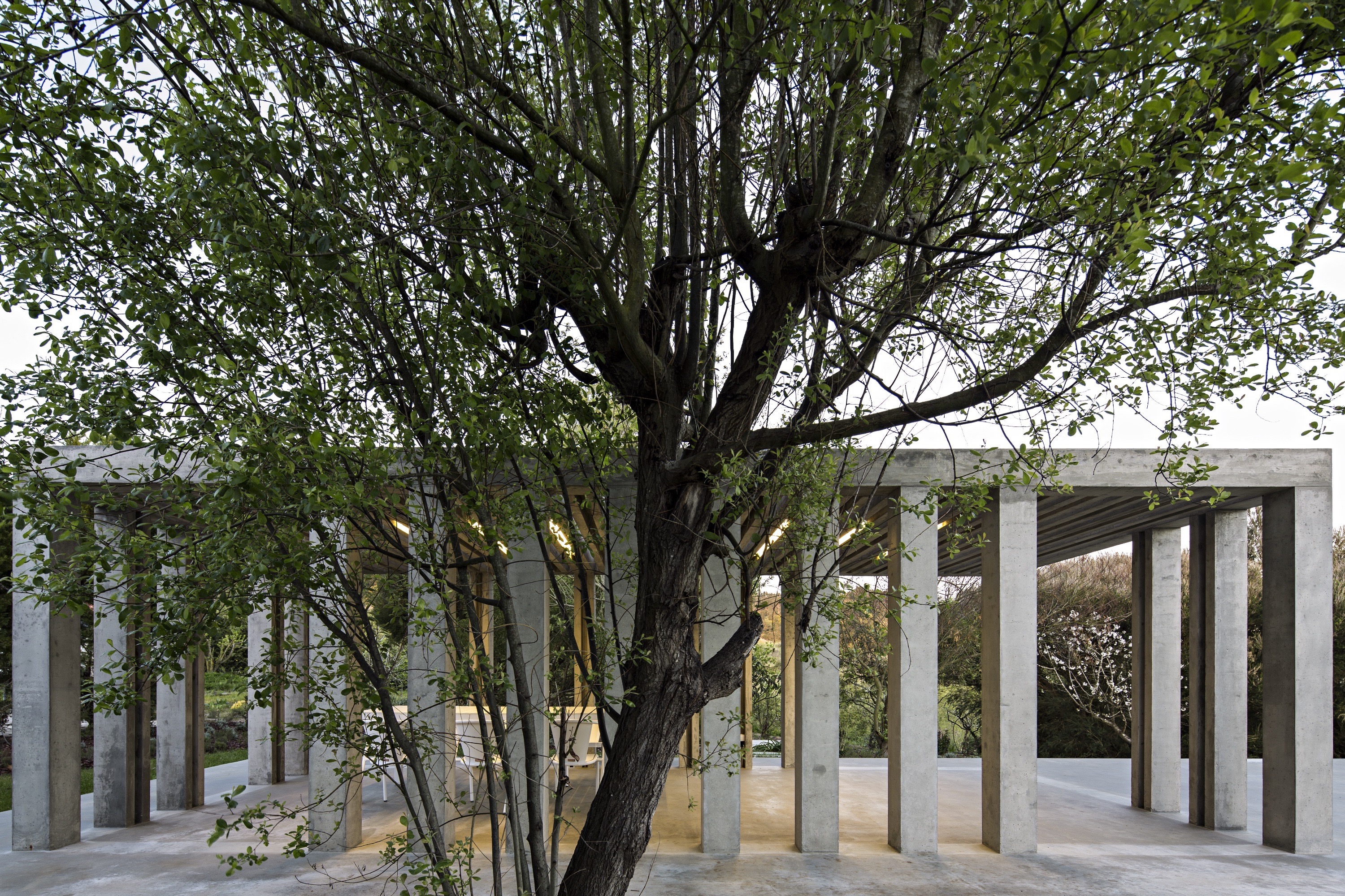 Garden No. 1 —  Delgada