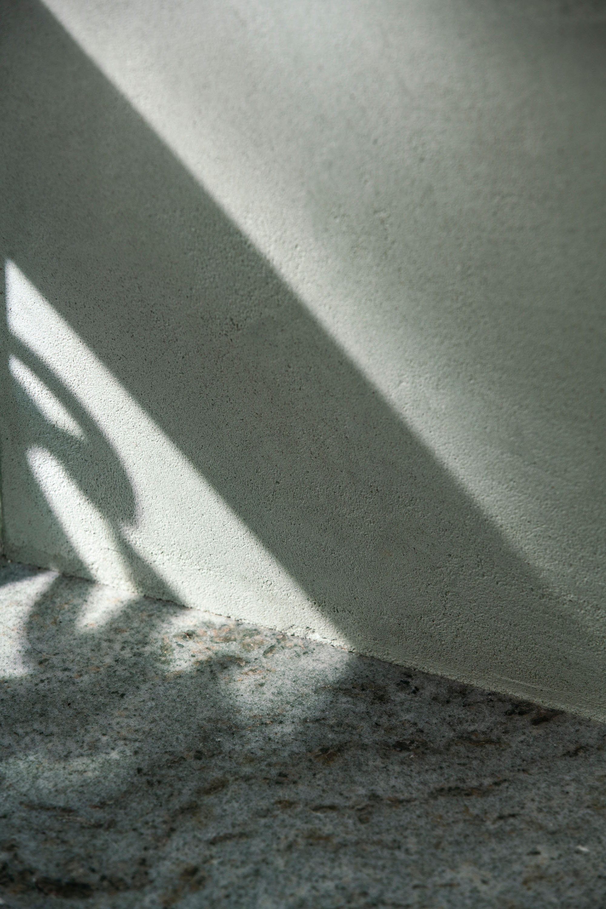 House No. 11 —  Santa Isabel